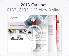 2013 Catalog:C132, C133-1, c133-2 View Online