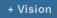 Vision