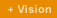 Vision
